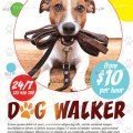 dog-walker