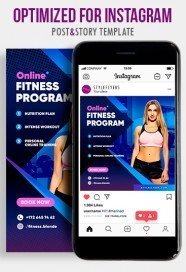 Online Fitness program