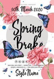 Spring Brake PSD Flyer