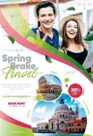 Spring Brake Travel PSD Flyer