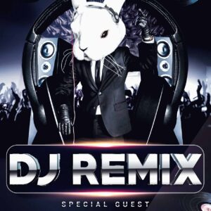 Dj Remix