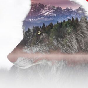 Double Exposure Photoshop Action1