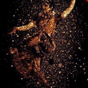 Golden Bubbles Photoshop Action