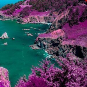 Pink Nature Photoshop Acrtion