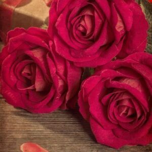 Vintage Effect Ps Action