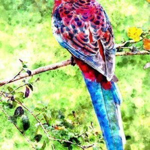 Watercolor Painting Action1