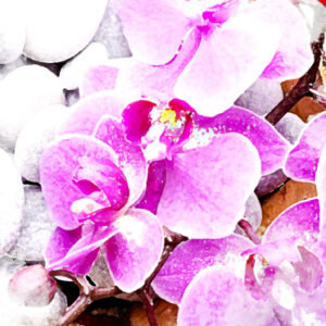 Watercolor Photoshop Action