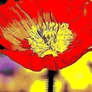 High Red Contrast Cartoon Effect