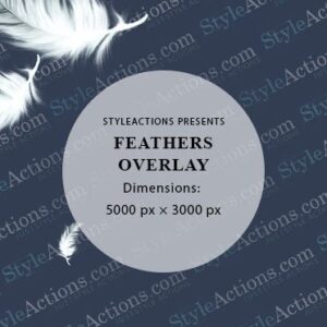 Feather Overlay