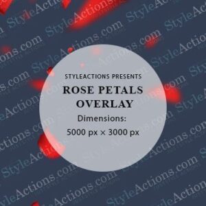 Rose Petals Overlay
