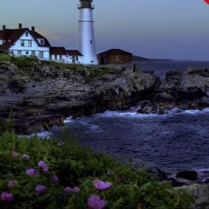 Cinematics Photoshop Effect