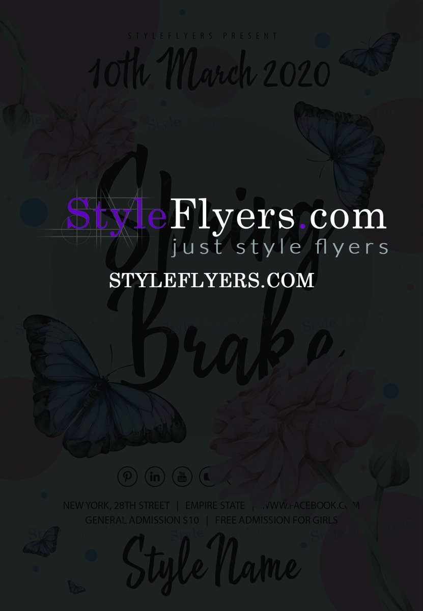 Spring Brake PSD Flyer